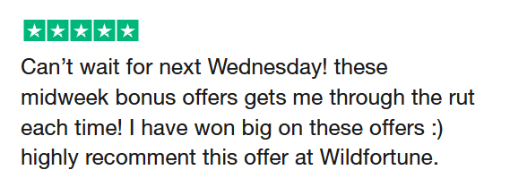 wild fortune review