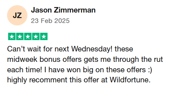 wild fortune review